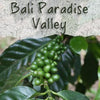 Unroasted Bali Paradise Valley Coffee Bean