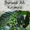 Unroasted Burundi AA Kirimiro Coffee Bean