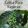 Unroasted Costa Rica Reserve Coffee Bean