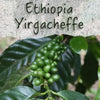 Unroasted Ethiopia Yirgacheffe Coffee Beans