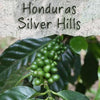 Unroasted Honduras Silver Hills Coffee Beans