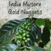 Unroasted India Mysore 'Gold Nugget' Coffee Beans