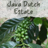 Unroasted Java Dutch Estate Coffee Beans