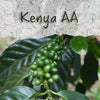 Unroasted Kenya AA Coffee Beans