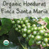 Unroasted Honduras Finca Santa Maria Organic Coffee Bean