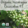 Unroasted Nicaragua Ceocafen Organic Coffee Bean
