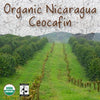 Organic Nicaragua Ceocafen Fair Trade Coffee