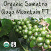 Unroasted Sumatra Gayo Mountain Organic Coffee Bean