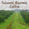 Sulawesi Gourmet Coffee