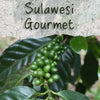 Unroasted Sulawesi Gourmet Coffee Beans