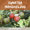 Decaf Sumatra Mandheling Coffee