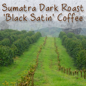 Sumatra Black Satin Coffee
