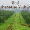 Bali Paradise Valley Coffee