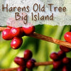 Haren's Old Tree Kona Estate Coffee
