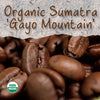 Organic Sumatra Gayo Mountain Coffee