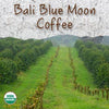 Bali Blue Moon Organic Coffee