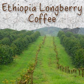 Ethiopia Longberry Coffee