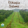 Ethiopia Sidamo Organic Fair Trade Coffee