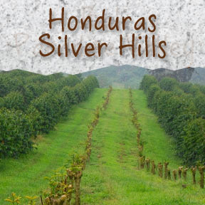 Honduras Silver Hills Coffee