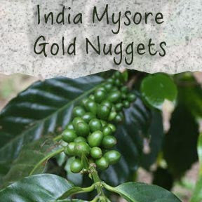 Unroasted India Mysore 'Gold Nugget' Coffee Beans