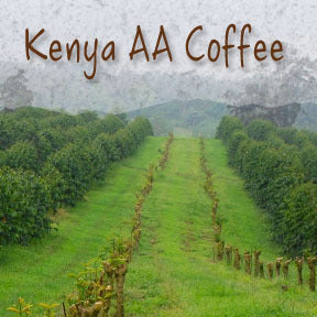 Kenya AA Coffee