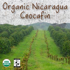 Organic Nicaragua Ceocafen Fair Trade Coffee