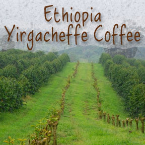 Ethiopia Yirgacheffe Coffee